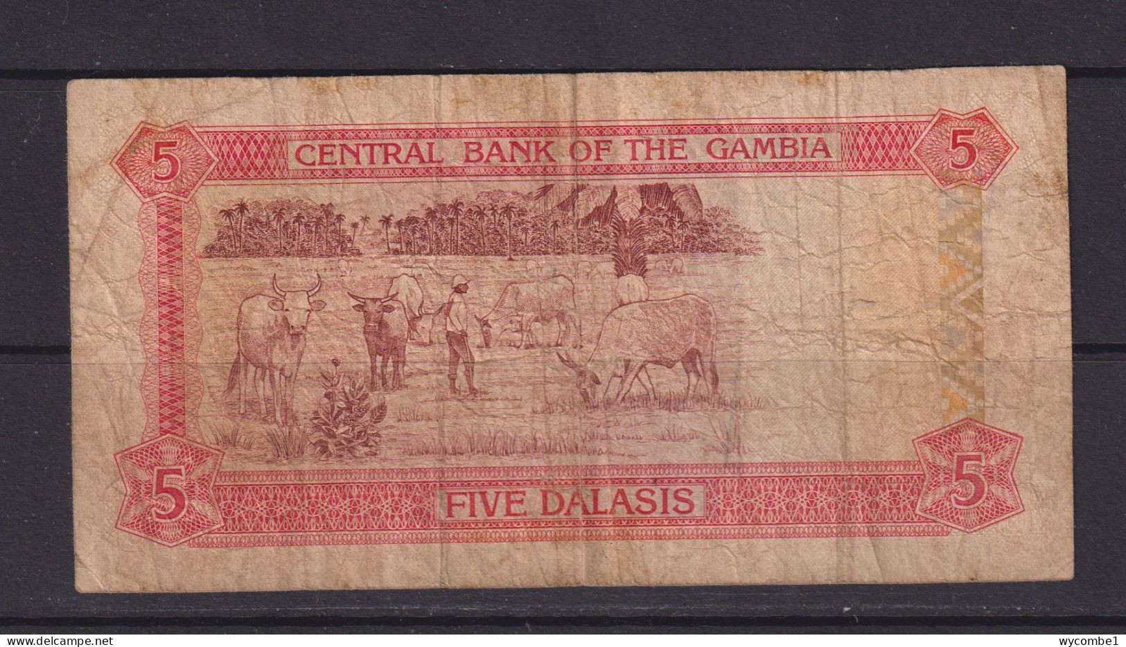 GAMBIA - 1991-95 5 Dalasis Circulated Banknote - Gambia