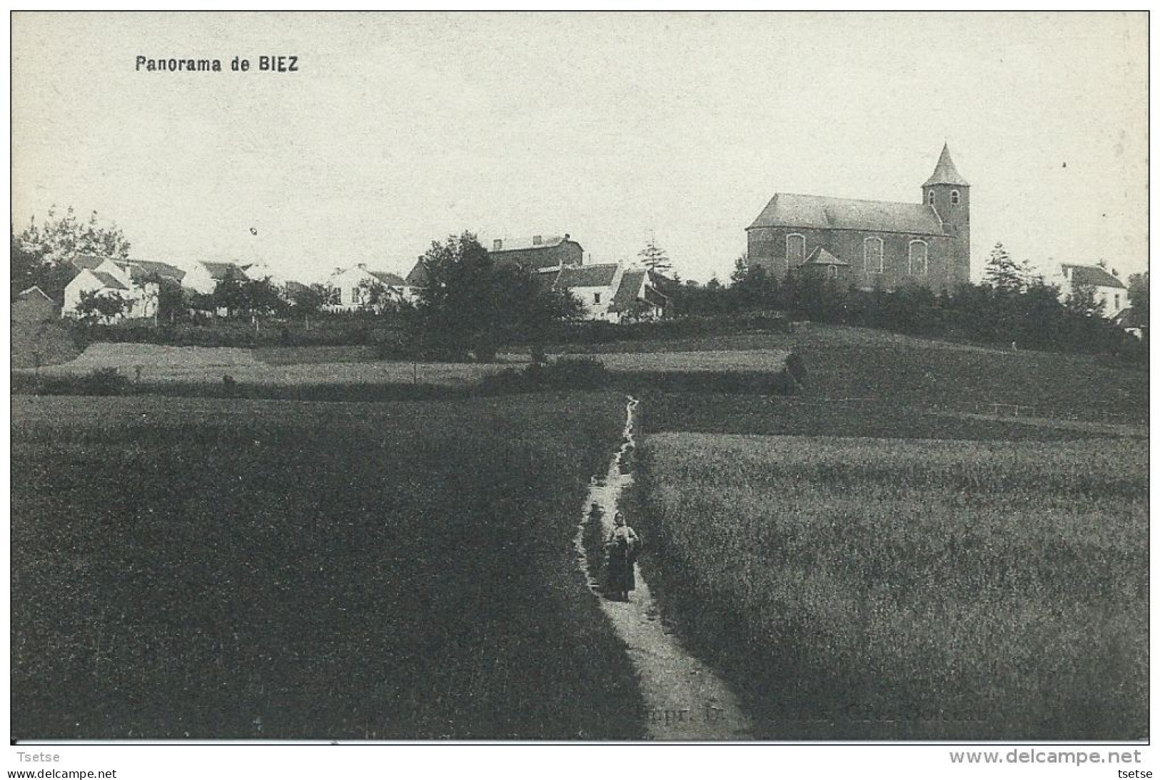 Biez - Panorama Du Village - Eglise Et Maisons Environnantes ( Voir Verso ) / Destockage - Graven