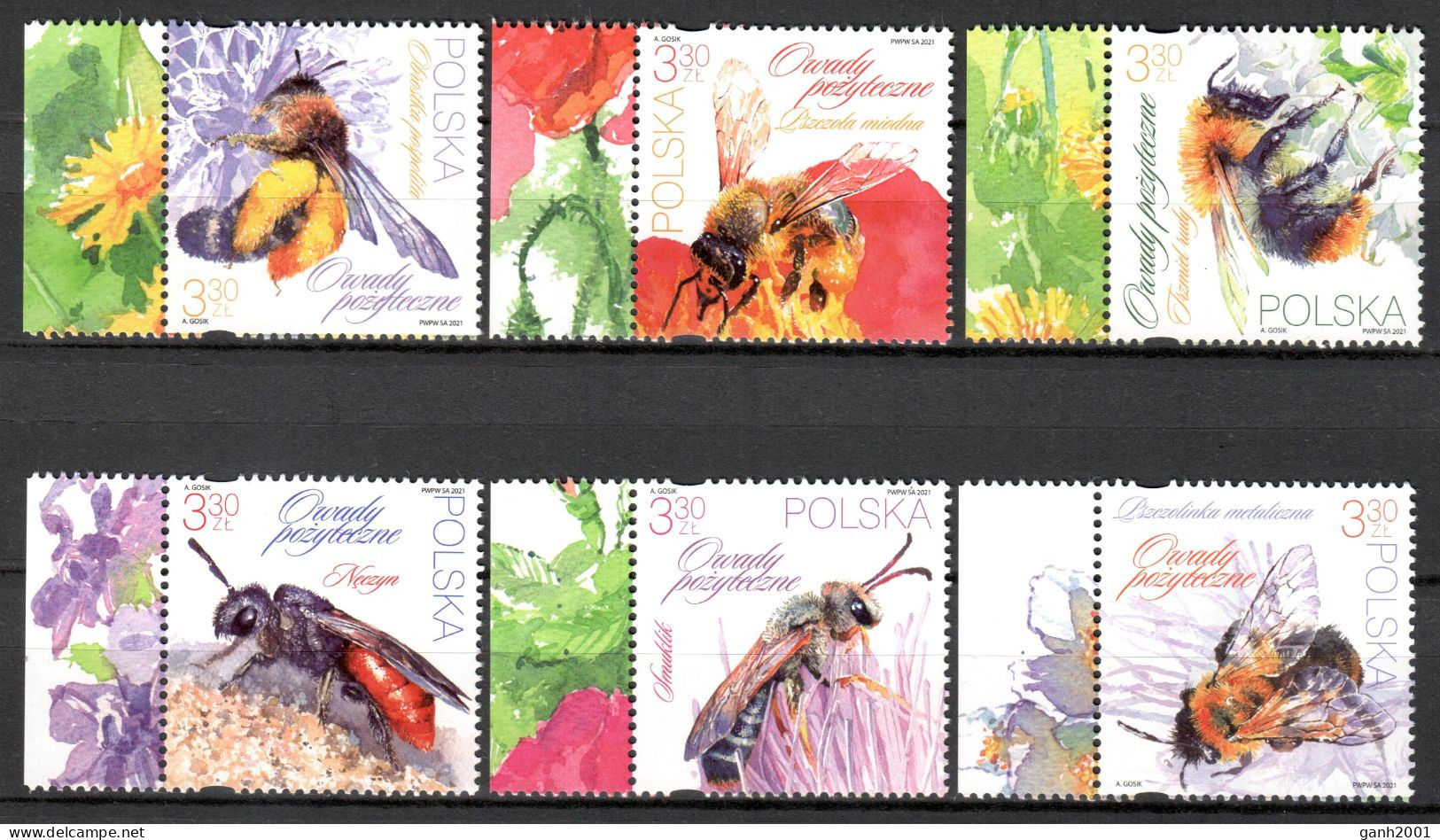 Poland 2021 Polonia / Insects Bees MNH Insectos Abejas Abeilles Bienen / Cu21774  24-16 - Abeilles