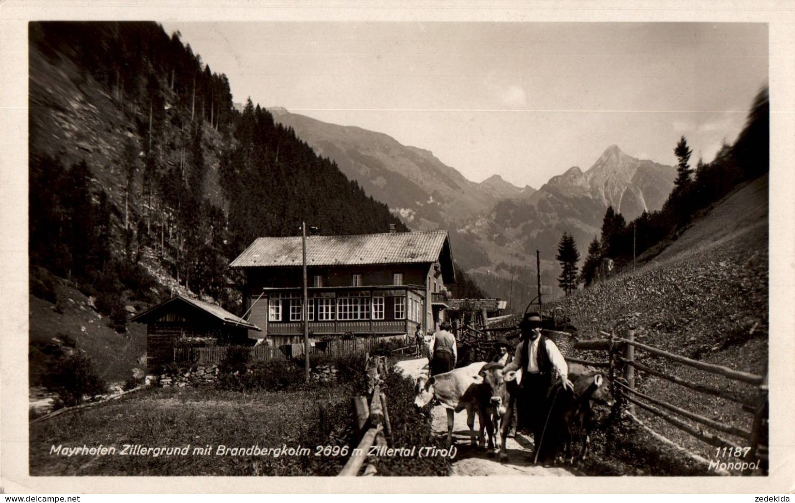 H0248 - Mayrhofen Zillergrund Brandbergkolm Zillertal - Monopol - Gasthof Wilhelm Pfister - Schöllhorn - Schwaz