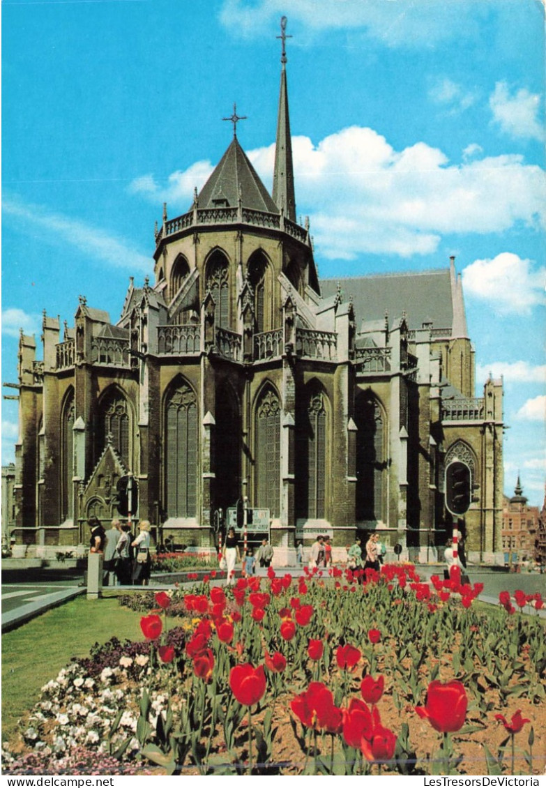 BELGIQUE - Leuven - Vue Générale De St Pieters Kerk (1425) - Vue Générale Collégiale St Pierre - Carte Postale - Leuven