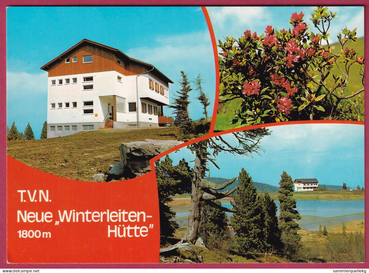 AK: Judenburg - T.V.N. Neue Winterleiten Hütte, Ungelaufen (Nr. 4619) - Judenburg