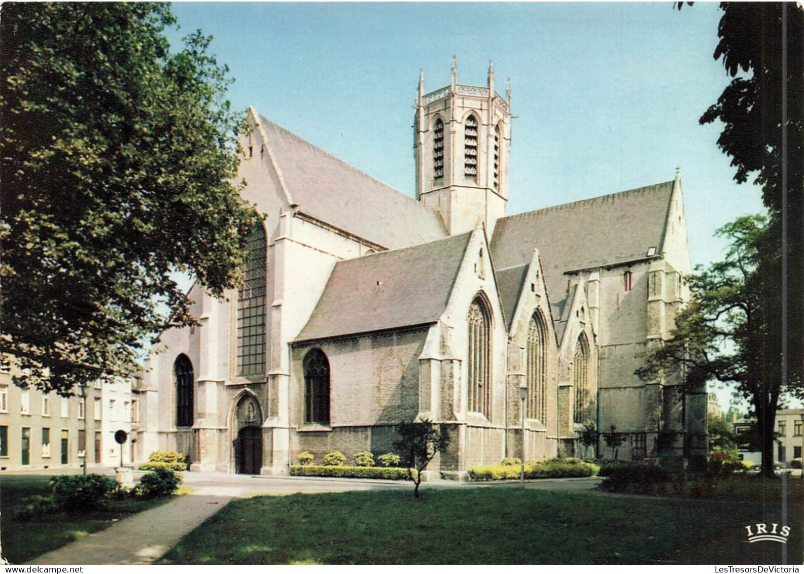 BELGIQUE - Dendermonde - O L - Vrouwkerk - Vue Générale De L'église Notre-Dame - Carte Postale - Dendermonde