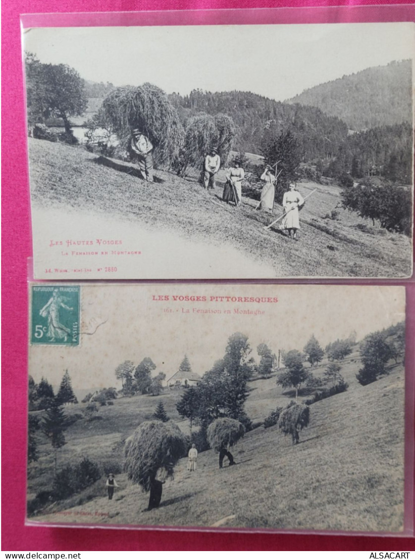 Les Vosges Fenaison 2 Cartes - Granges Sur Vologne