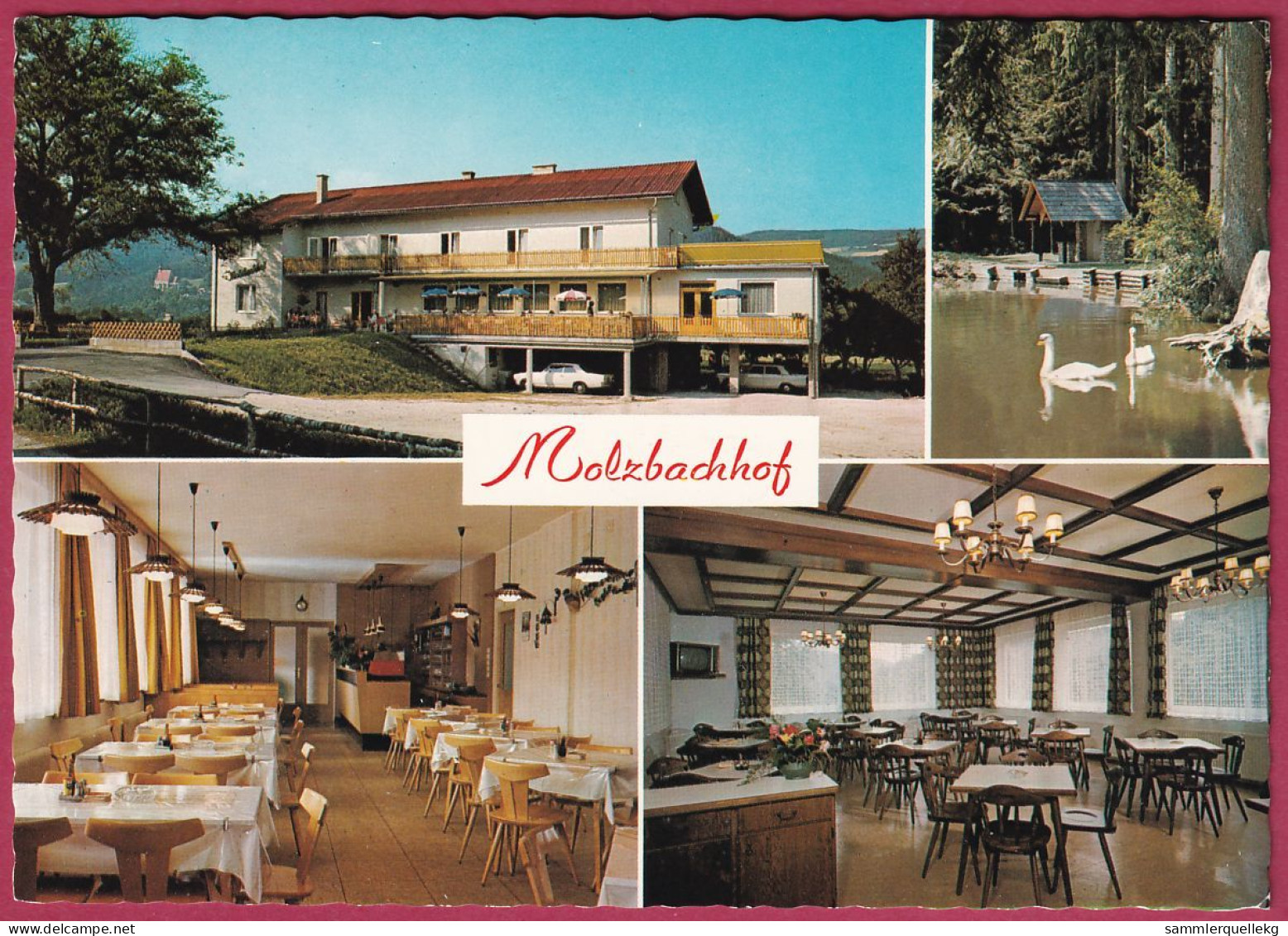 AK: Kirchberg Am Wechsel, Molzbachhof, Ungelaufen (Nr. 4625) - Wechsel