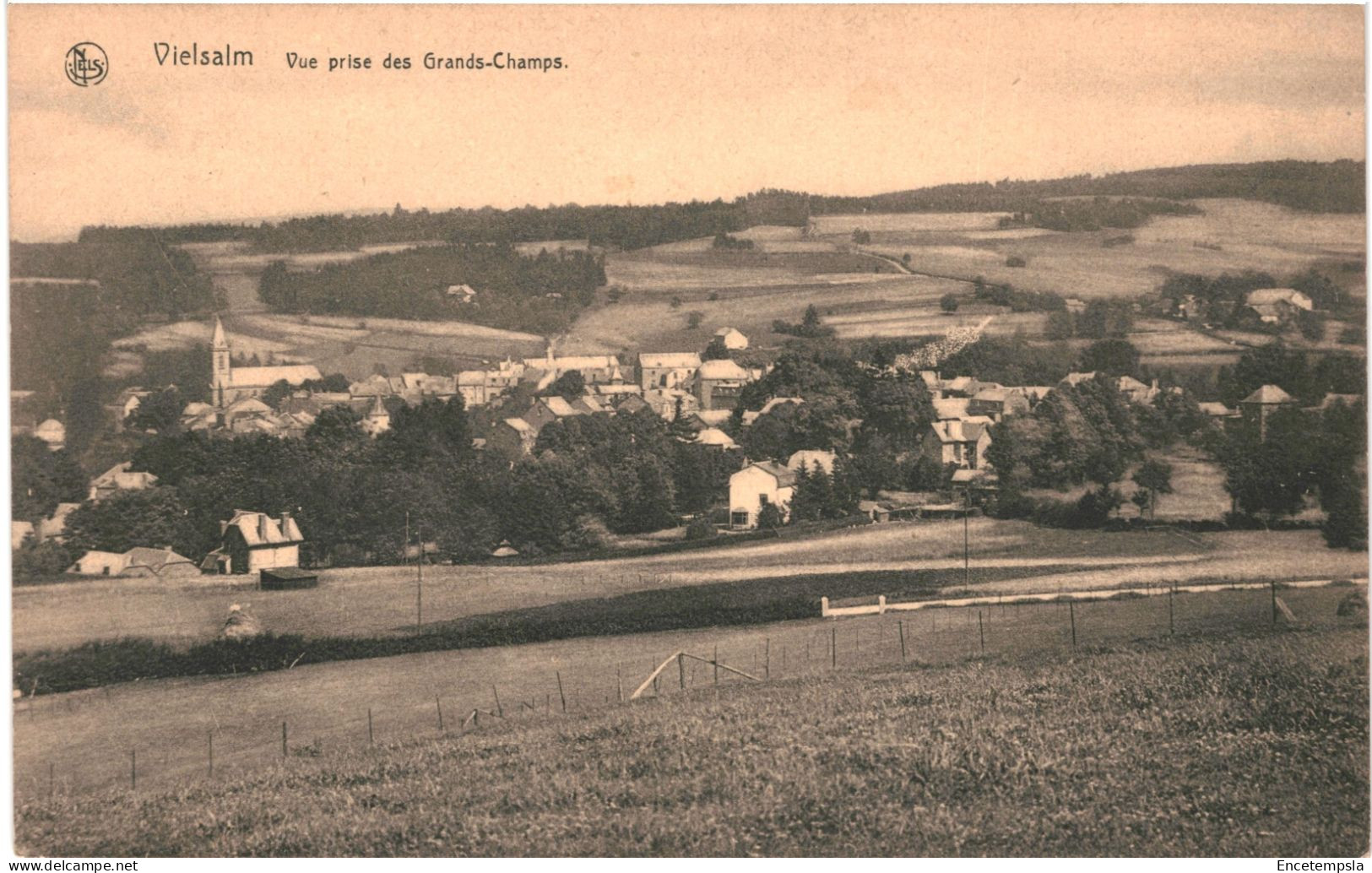 CPA Carte Postale Belgique Vielsalm Vue Prise Des Grands Champs   VM76987 - Vielsalm