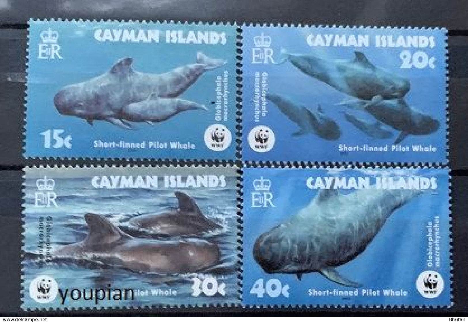 Cayman Islands 2003, WWF - Short-Finned Pilot Whale, MNH Stamps Set - Cayman Islands