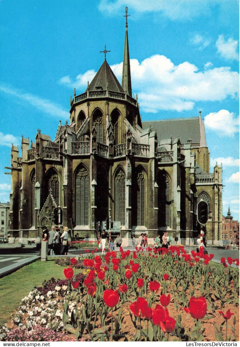 BELGIQUE - Leuven - Vue Générale De St Pierre - Carte Postale - Leuven