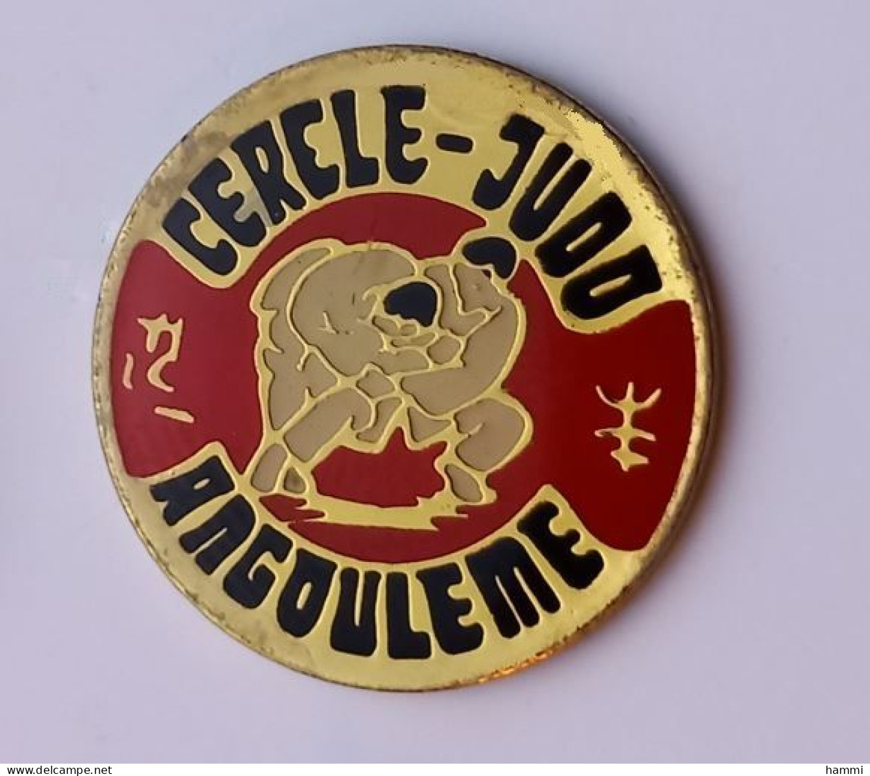 PP04 Pin's Judo Cercle Judo Angoulême Charente  Achat Immédiat - Judo