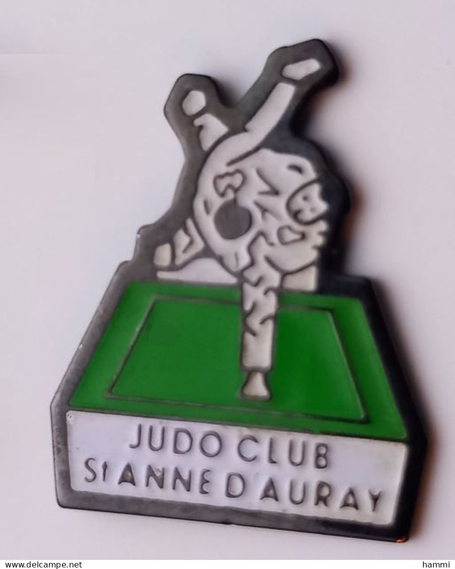 PP31 Pin's Judo Club Sainte St Anne D'Auray Morbihan Achat Immédiat - Judo