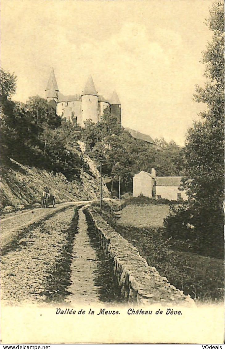 Belgique - Namur - Yvoir - Vallée De La Meuse - Château De Vève - Yvoir