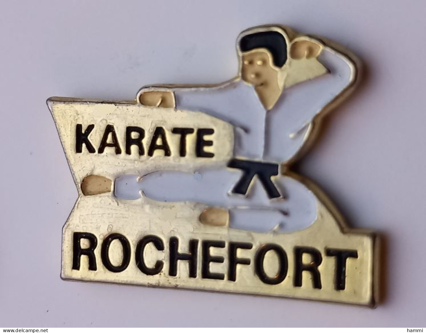 PP120 Pin's Judo Rochefort Karaté Club Charente-Maritime Achat Immédiat - Judo