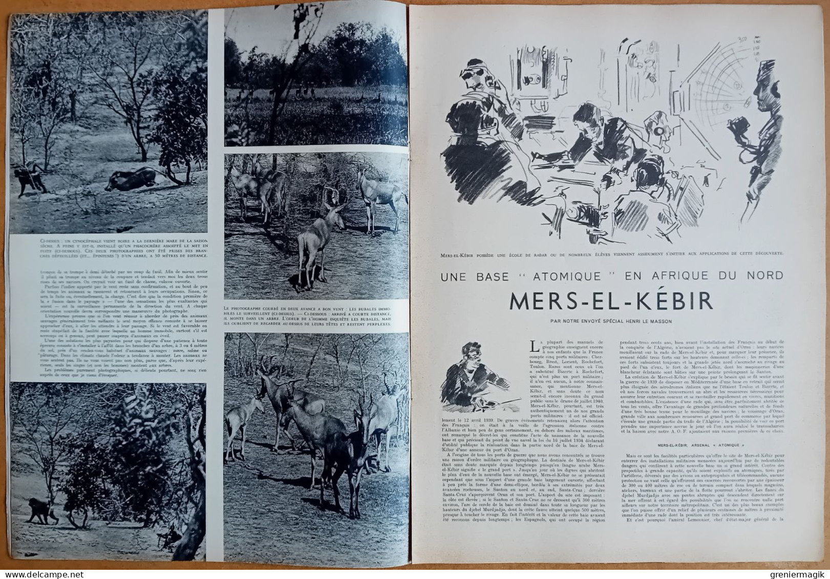 France Illustration N°201 20/08/1949 Strasbourg Assemblée européenne/Pologne/Mer-El-Kébir/Animaliers/Vichy/René Baschet