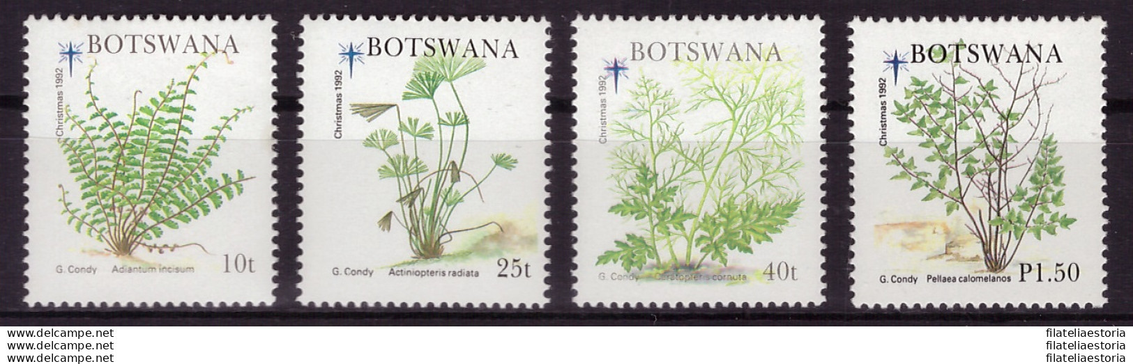 Botswana 1992 - MNH ** - Noël - Fougères - Michel Nr. 539-542 Série Complète (09-013) - Botswana (1966-...)
