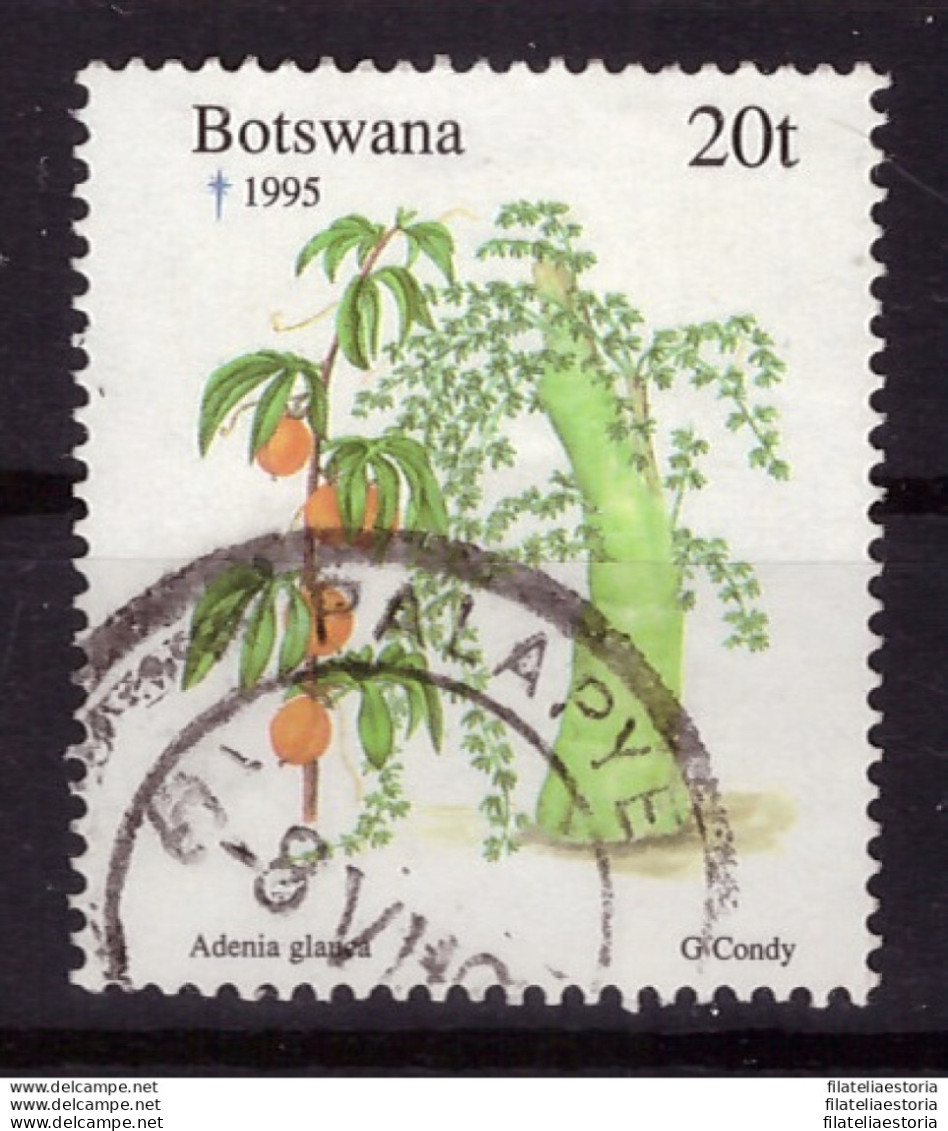 Botswana 1995 - Oblitéré - Noël - Flore - Michel Nr. 590 (09-025) - Botswana (1966-...)