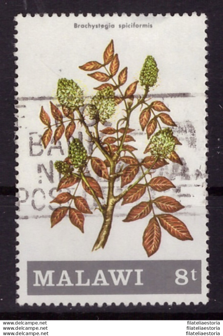 Malawi 1971 - Oblitéré - Arbres Et Arbustes - Michel Nr. 170 (09-083) - Malawi (1964-...)