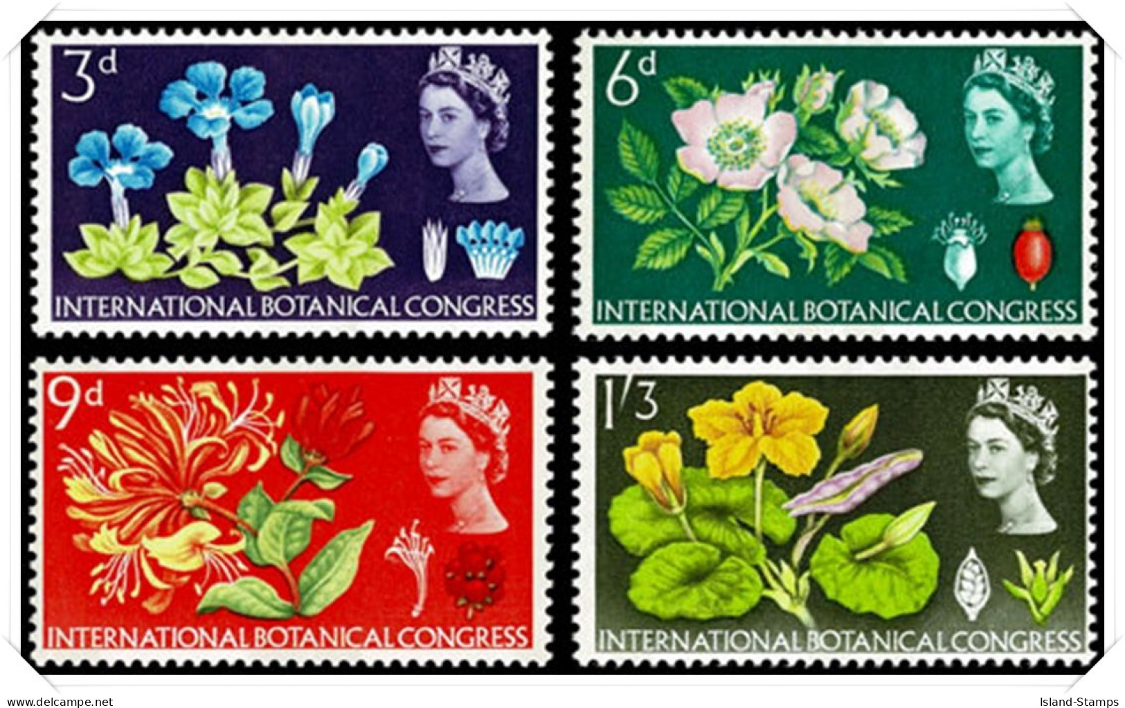 1964_Botanical_Unmounted Mint Hrd2d - Unused Stamps