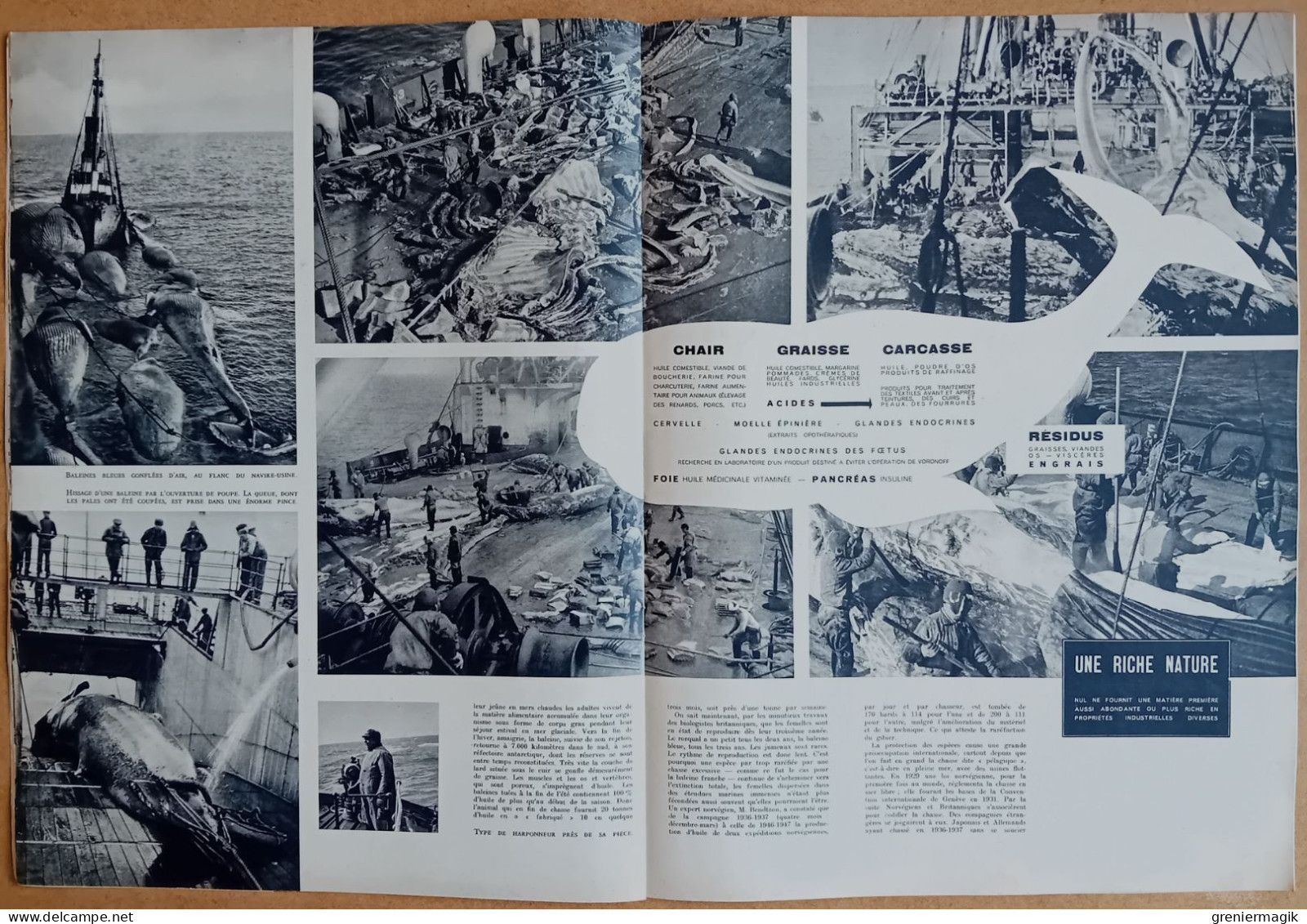 France Illustration N°202 27/08/1949 Nouvelles conventions de Genève/Portmeirion/Chasse à la baleine/Equateur/Salzbourg