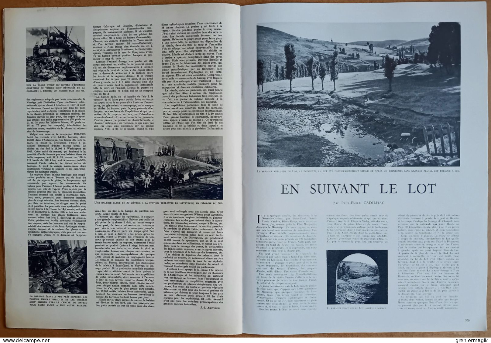 France Illustration N°202 27/08/1949 Nouvelles conventions de Genève/Portmeirion/Chasse à la baleine/Equateur/Salzbourg