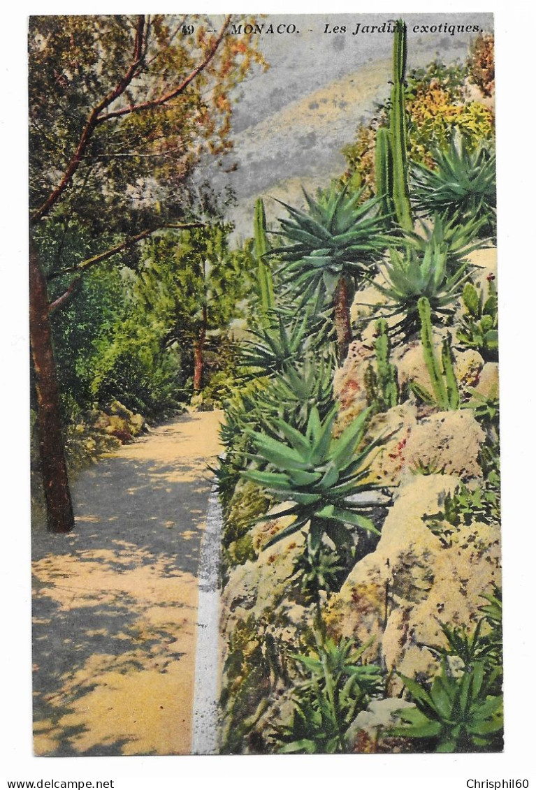 CPA - MONACO - Les Jardins Exotiques - Edit. Lemaitre - N° 49 - - Exotische Tuin