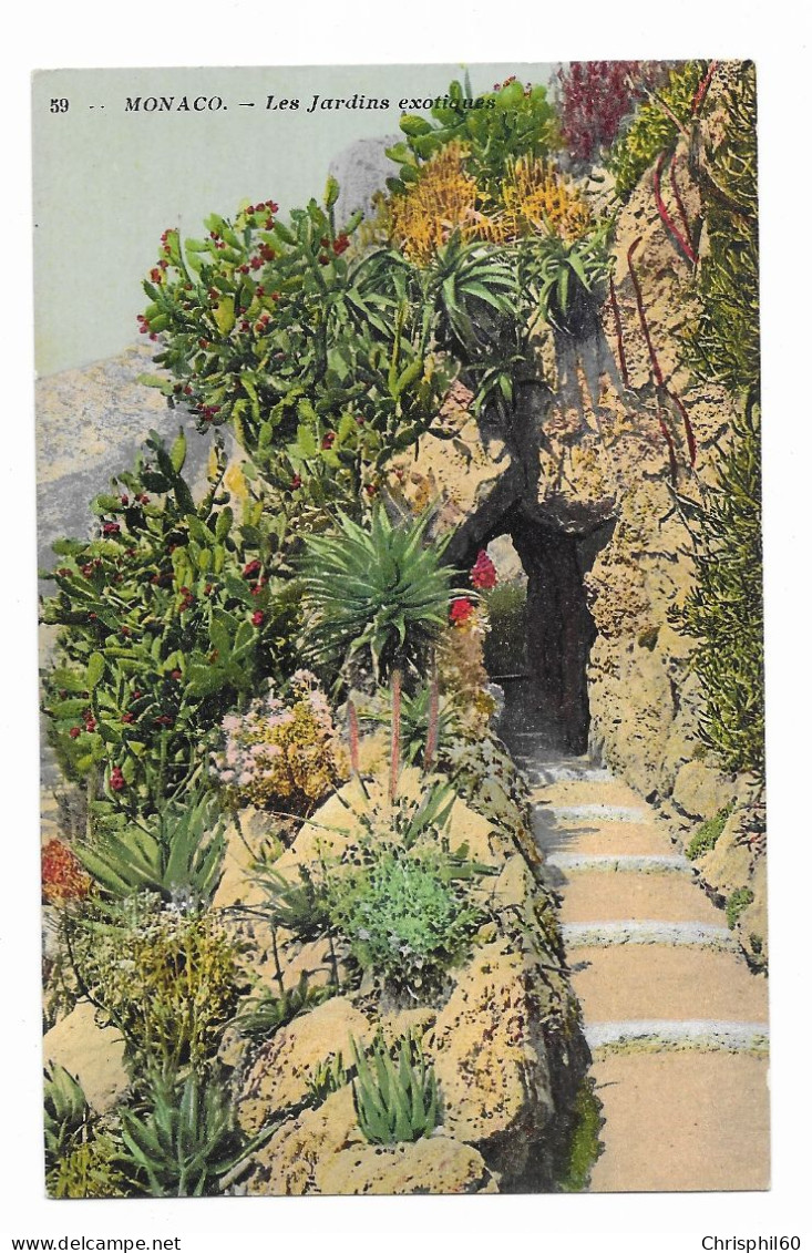 CPA - MONACO - Les Jardins Exotiques - TBE - N° 59 - Edit. Lemaitre - - Exotic Garden