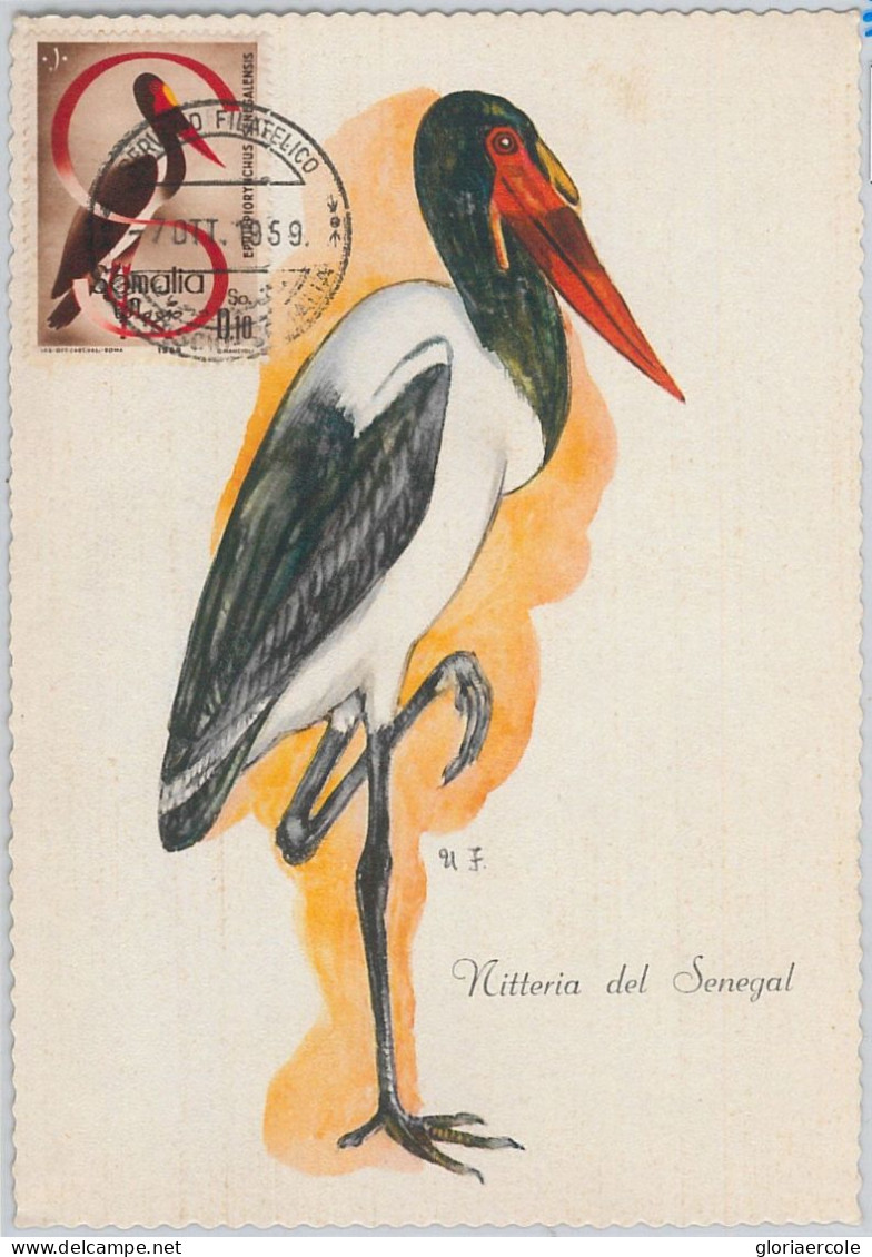 52628 - SOMALIA  - MAXIMUM CARD - ANIMALS Birds CRANE  1959 - Grues Et Gruiformes