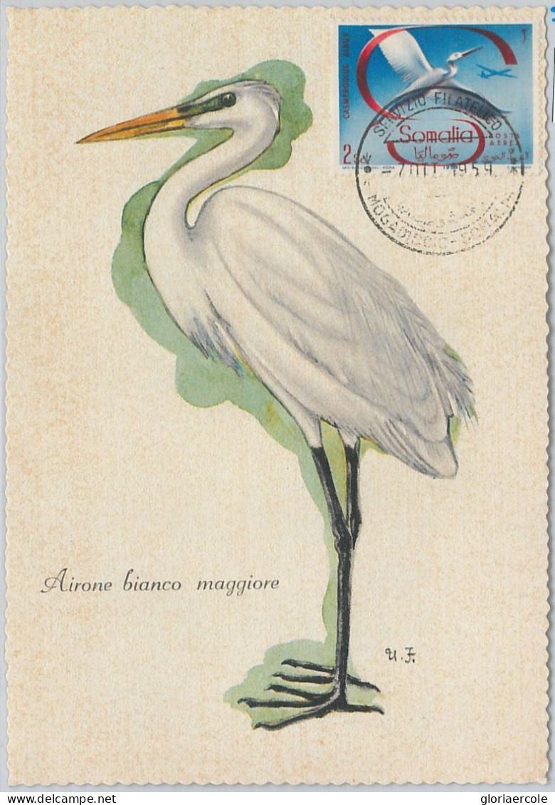 52630   - SOMALIA  - MAXIMUM CARD - ANIMALS Birds HERON  1959 - Cranes And Other Gruiformes