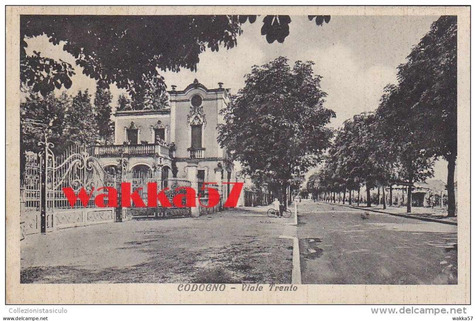 E924- Codogno - Viale Trento - Lodi - F.p. Viaggiata Primi Anni '40 - Lodi