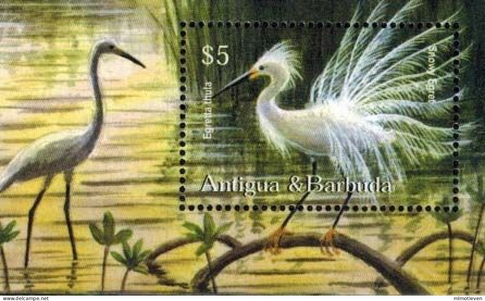 MDB-BK9-351-2 MINT ¤ ANTIGUA & BARBUDA BLOCK ¤ OISEAUX - BIRDS - VÖGEL - BIRDS OF THE WORLD - - Pelikanen