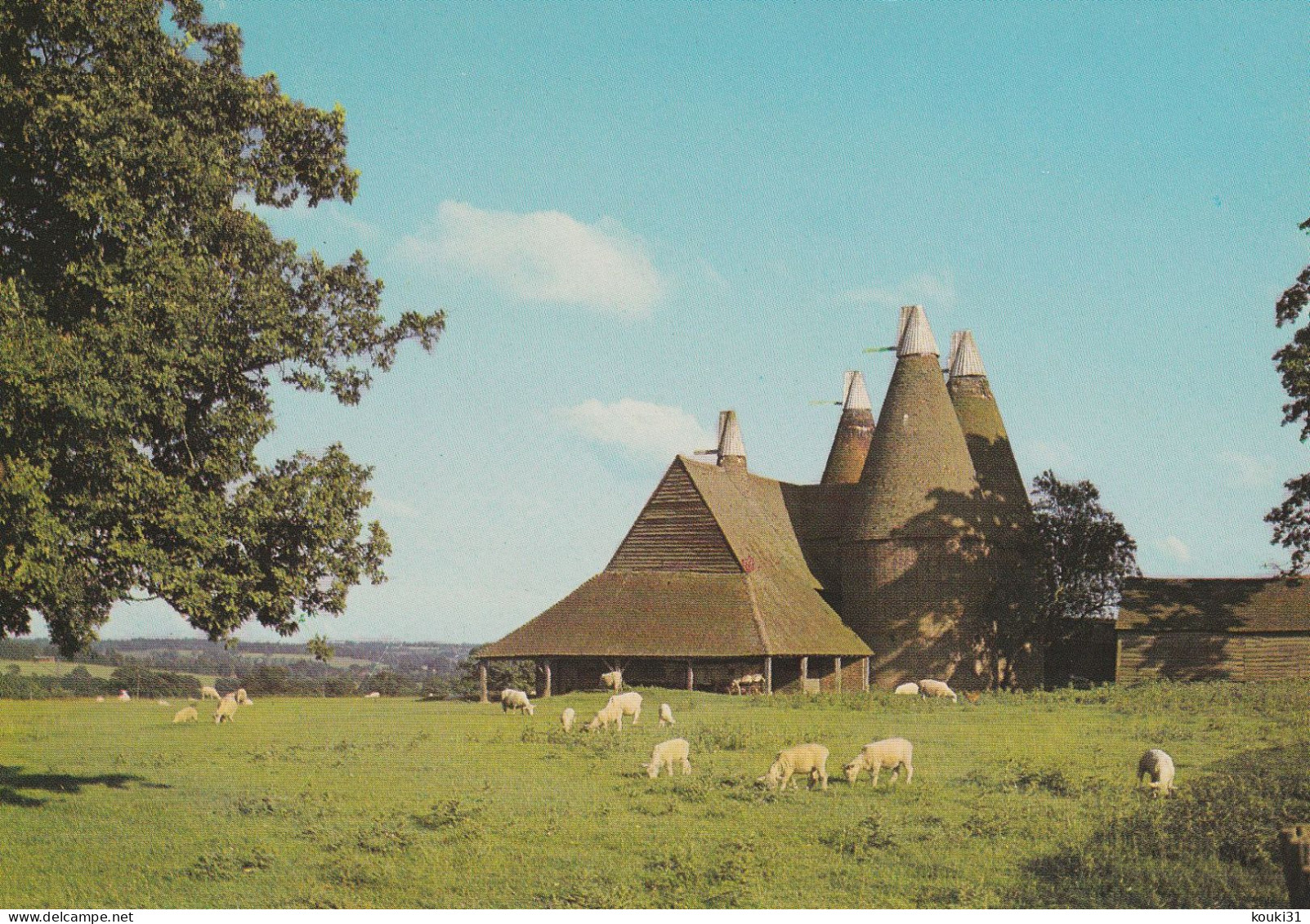 Canterbury : Oast Houses , Moutons - Canterbury