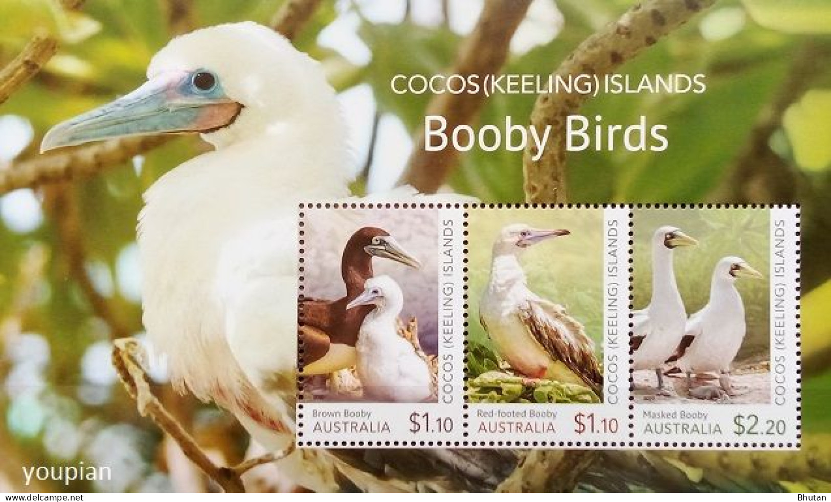 Cocos (Keeling) Islands 2020, Booby Birds, MNH S/S - Cocos (Keeling) Islands