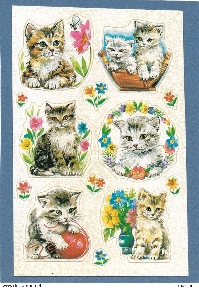 Découpis - Ravissants Chatons Sur Cartelette Pré-découpés - Animals