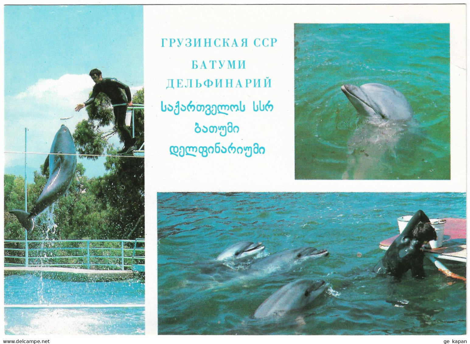 1980 GEORGIA ADJARA BATUMI Dolphinarium - Géorgie