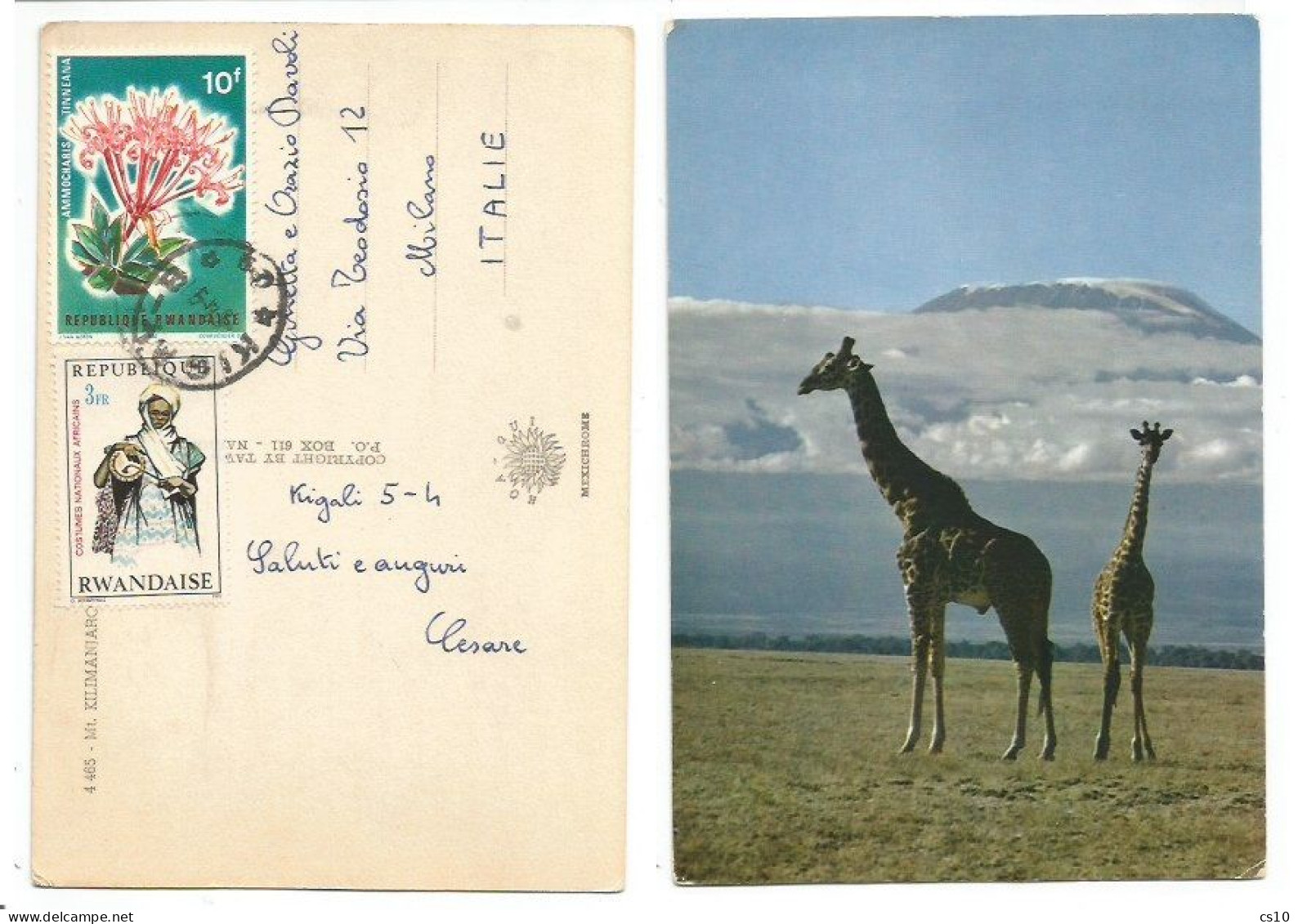 Rwanda PPC Mt. Kilimanjaro And Giraffes With 2 Stamps - Cartas & Documentos