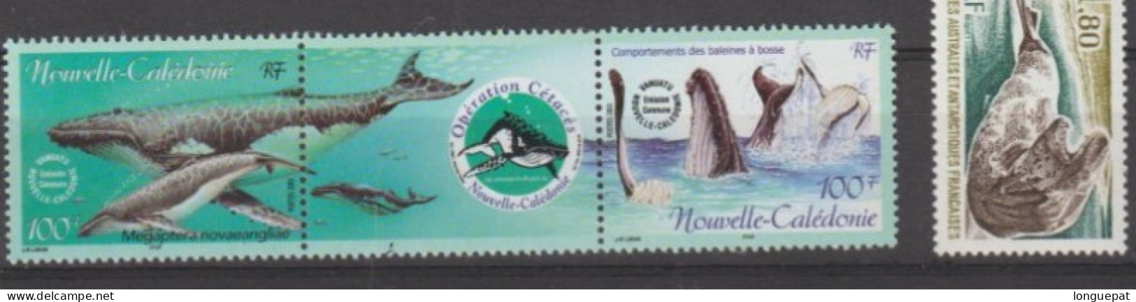 Nelle CALEDONIE- Faune - Baleine à Bosse (Megaptera Novaengliae) : Baleine Et Baleineau - Emission Avec Vanuatu - - Whales