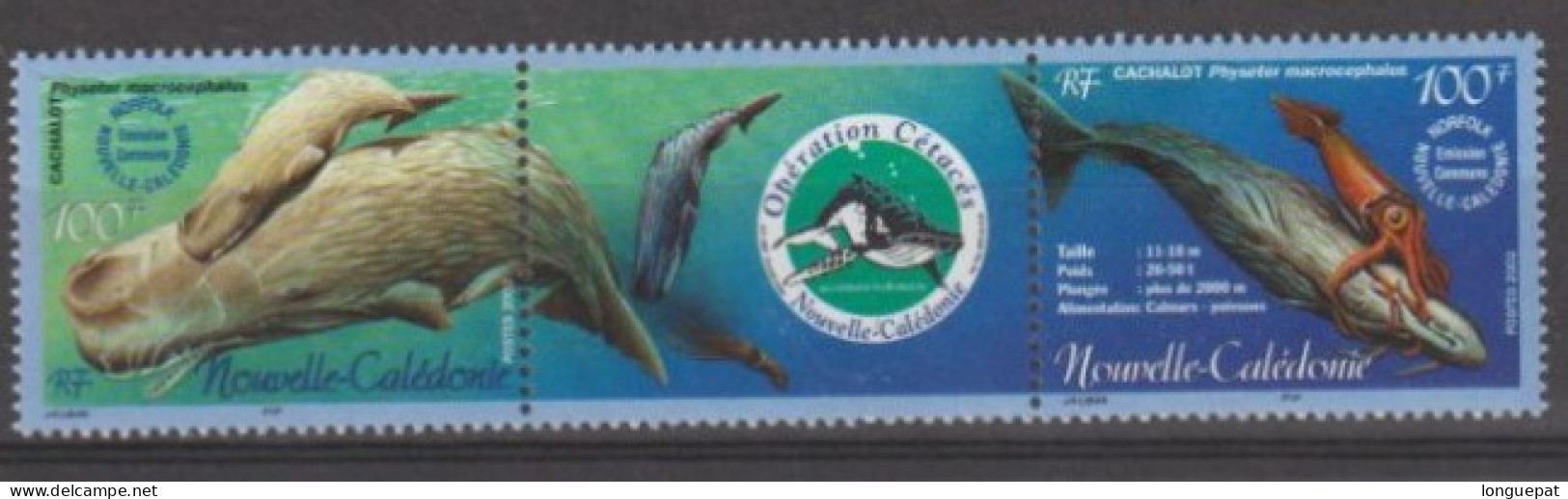 Nelle CALEDONIE - Faune - Cachalot : Cachalot Avec Jeune, Cachalot Avec Calmar - Emiision Commune Avec Norfolk - Whales