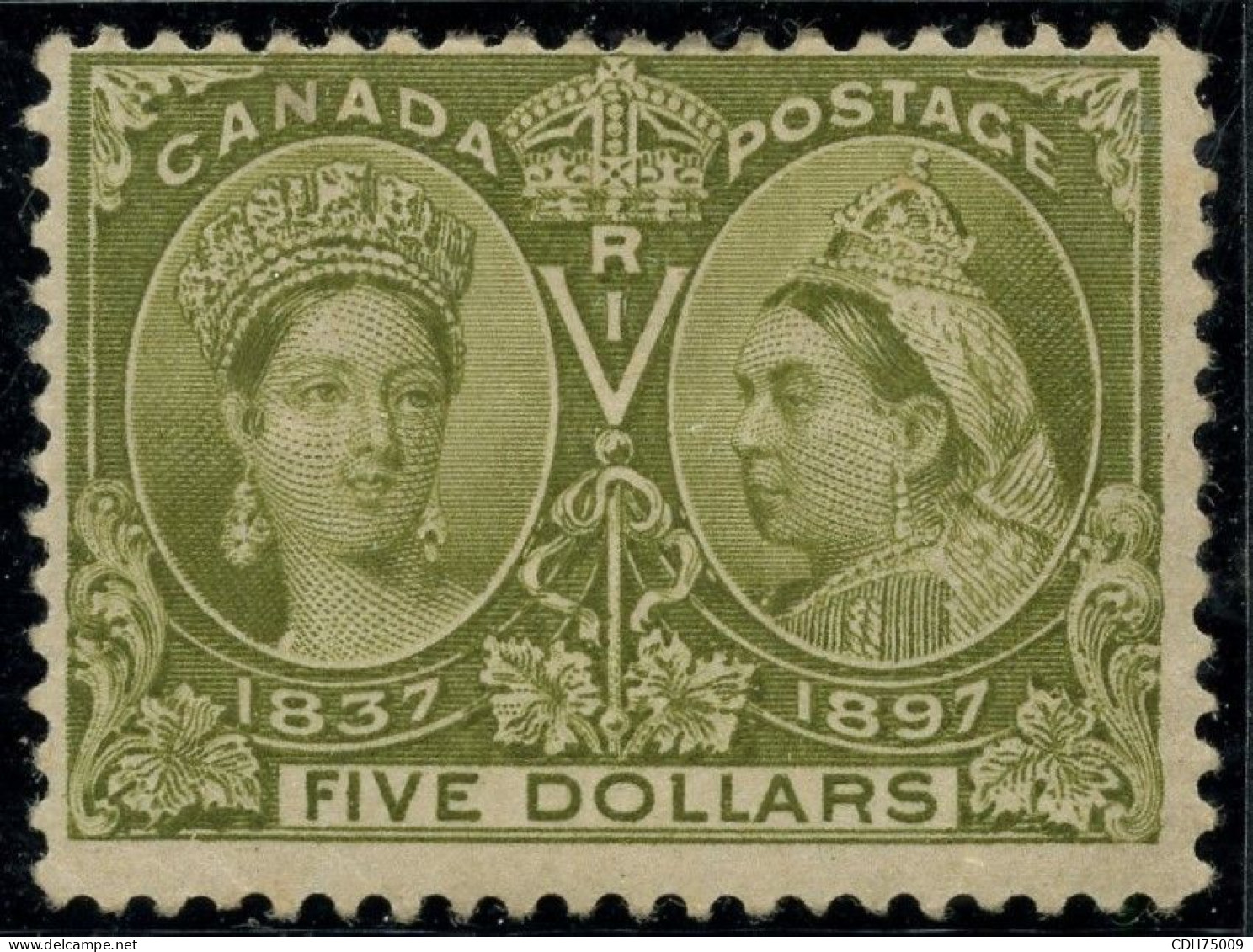CANADA - YVERT 53  5 DOLLARS OLIVE * - SIGNE JAMET - Unused Stamps