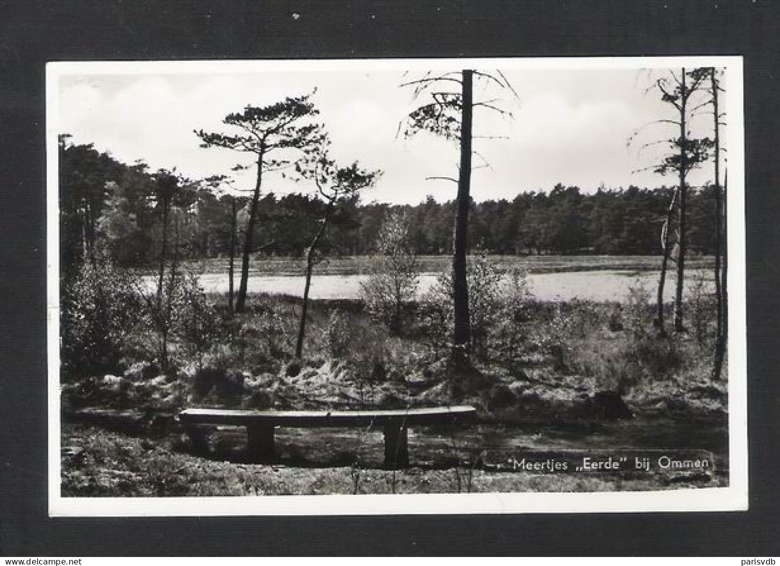 OMMEN - Meertjes "Eerde" Bij Ommen (NL 10336) - Ommen