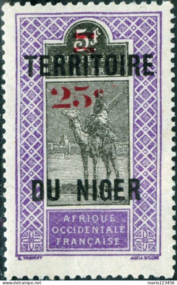 NIGER FRANCESE, FRENCH NIGER, PAESAGGI, LANDSCAPE, 1924, FRANCOBOLLI NUOVI (MNH**) Scott:NE 24, Yt:NE 20 - Nuovi