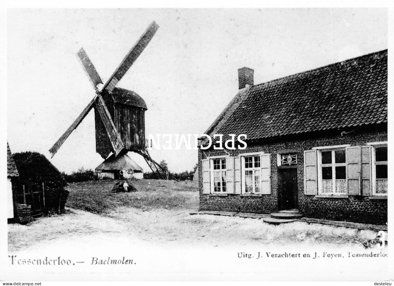 Baelmolen - Tessenderlo - Repro - Tessenderlo