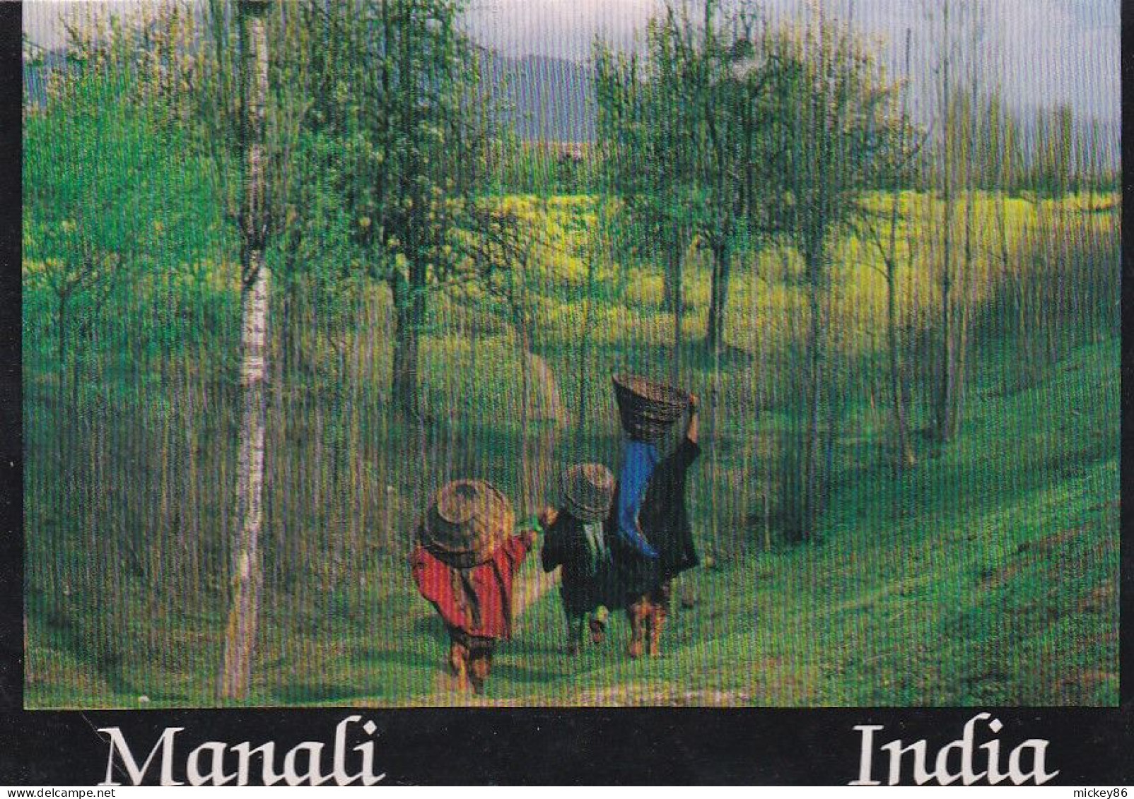 Inde -- MANALI --Girls Running To Work In The Mustard Fields In The Outskirts Of Manali (animée) - Indien