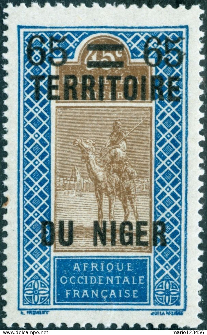 NIGER FRANCESE, FRENCH NIGER, PAESAGGI, LANDSCAPE, 1925, FRANCOBOLLI NUOVI (MNH**) Scott:NE 26, Yt:NE 22 - Unused Stamps
