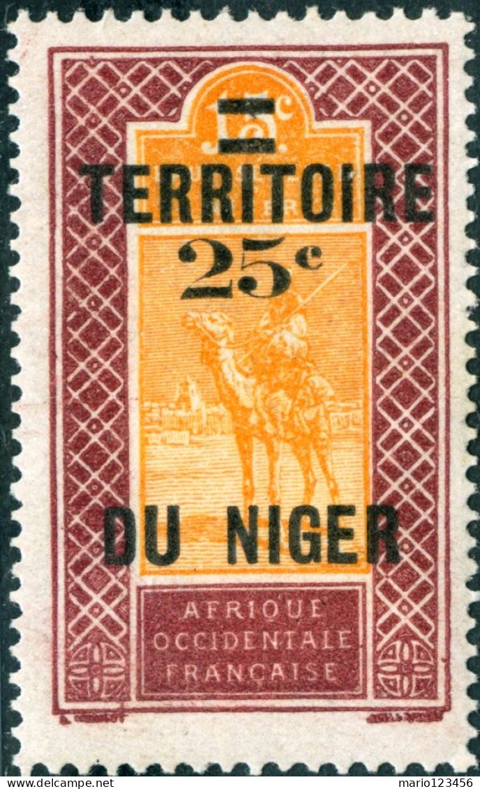NIGER FRANCESE, FRENCH NIGER, PAESAGGI, LANDSCAPE, 1925, FRANCOBOLLI NUOVI (MNH**) Scott:NE 22, Yt:NE 18 - Neufs