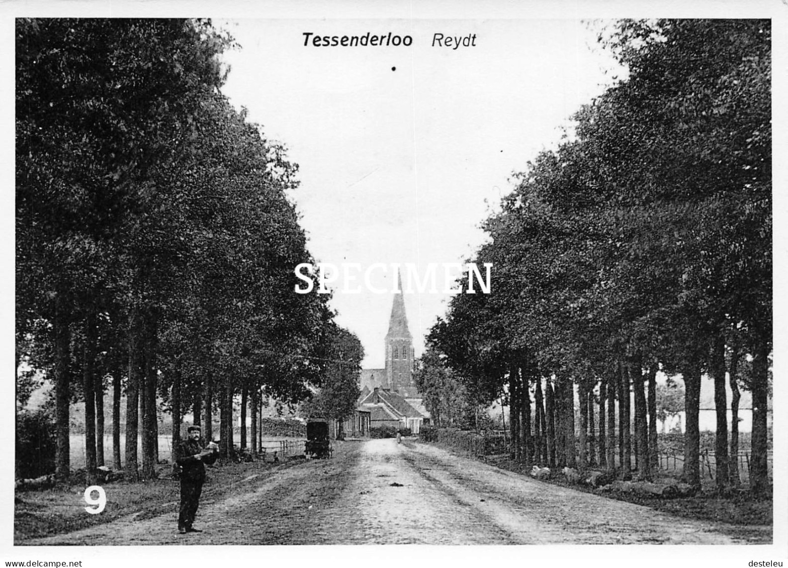 Reydt - Tessenderlo - Repro - Tessenderlo