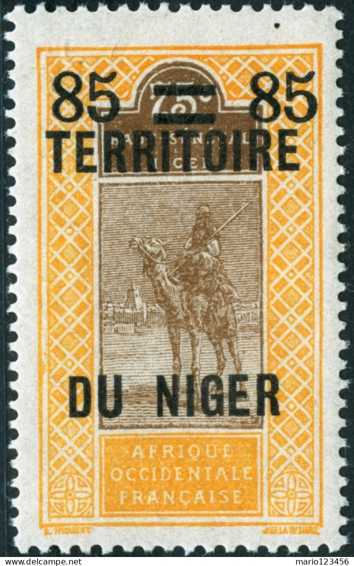 NIGER FRANCESE, FRENCH NIGER, PAESAGGI, LANDSCAPE, 1925, FRANCOBOLLI NUOVI (MNH**) Scott:NE 27, Yt:NE 23 - Unused Stamps