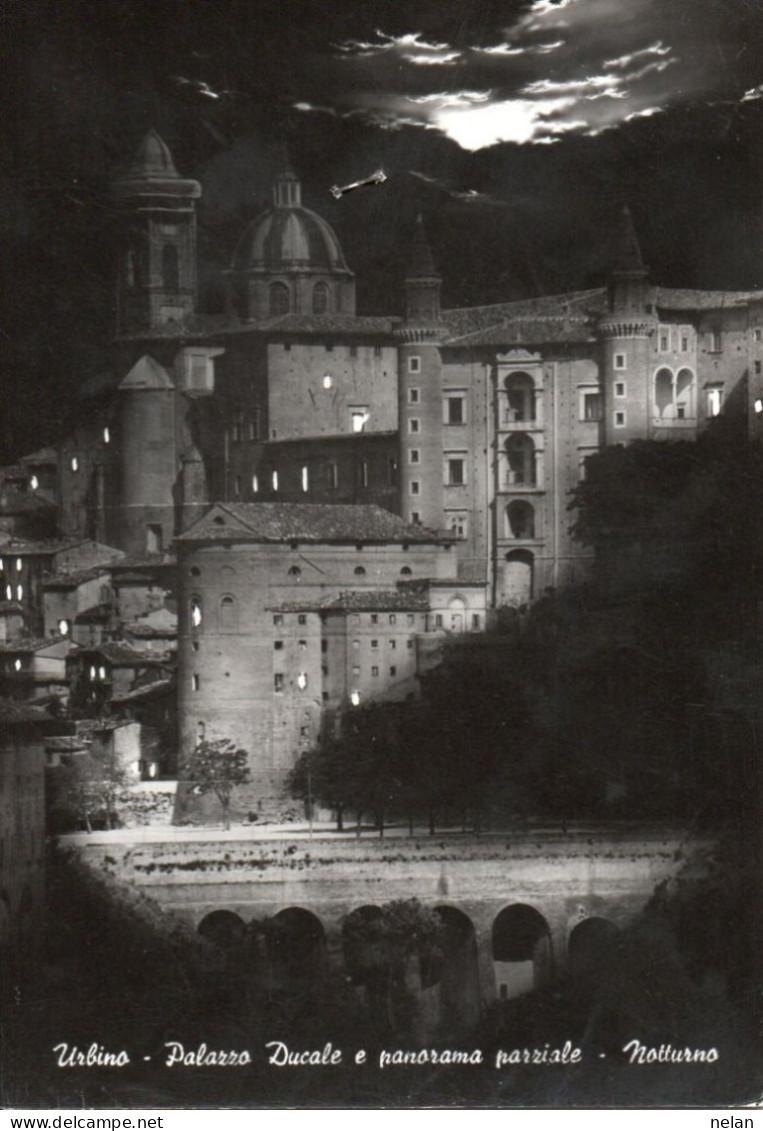 URBINO - PALAZZO DUCALE E PANORAMA PARZZIALE - NOTTURNO - F.G. - Urbino