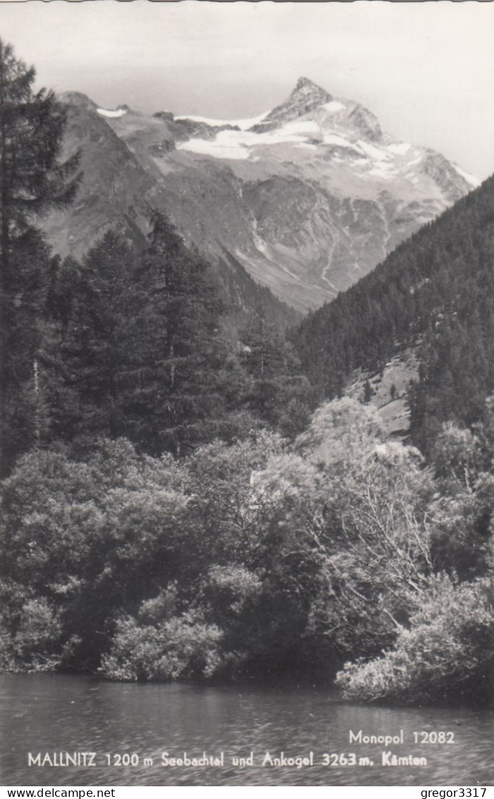 E3911) MALLNITZ In Kärnten - 1200m - Seebachtal Und Ankogel - Kärnten - S/W FOTO AK - Mallnitz