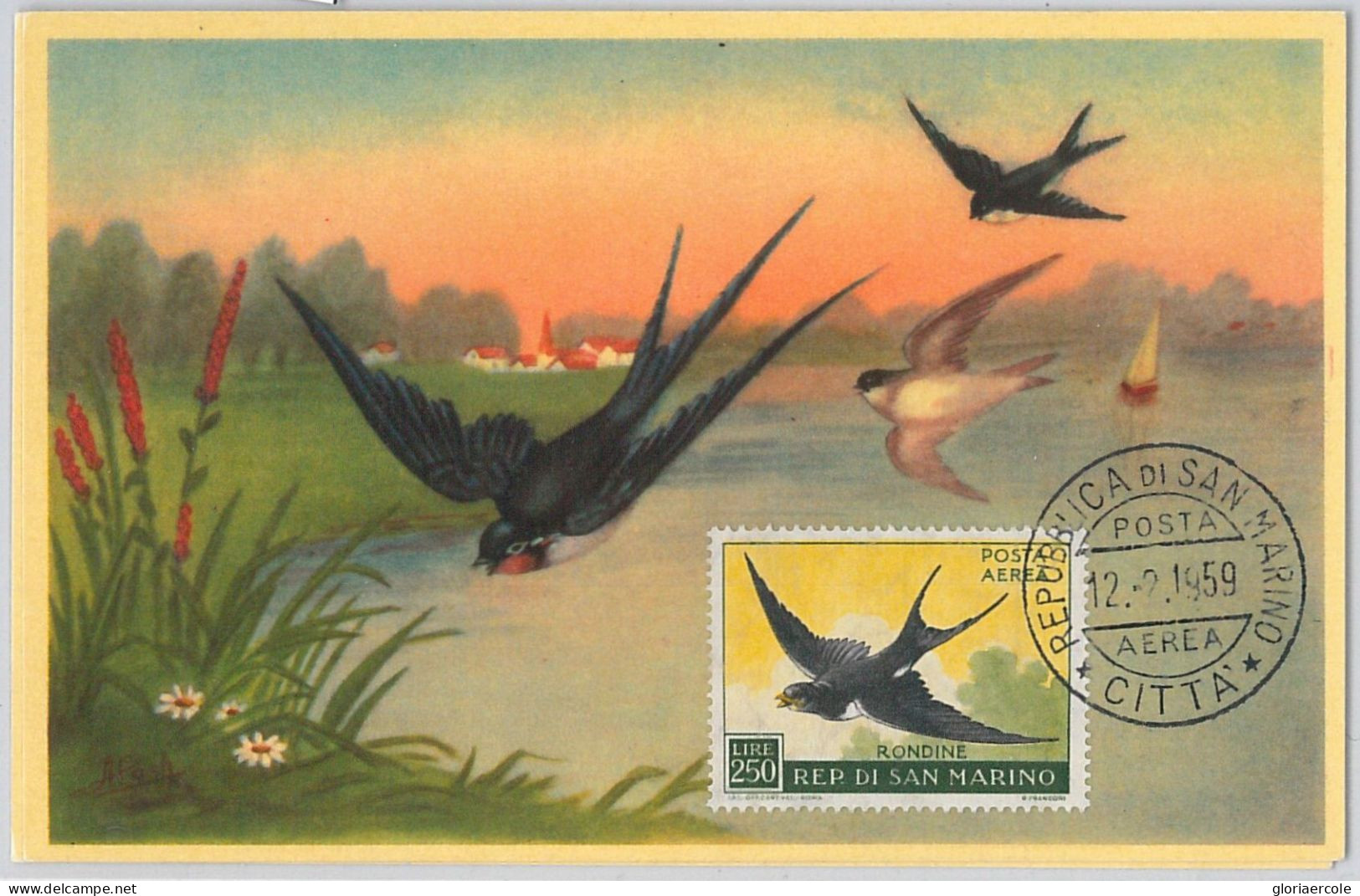 52672  - SAN MARINO  - MAXIMUM CARD - ANIMALS Birds SWALLOW   1959 - Golondrinas