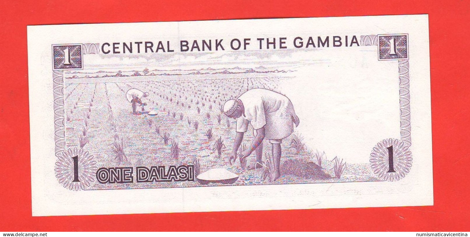 Gambia 1 Dalasi 1971 - 1987 - Gambia
