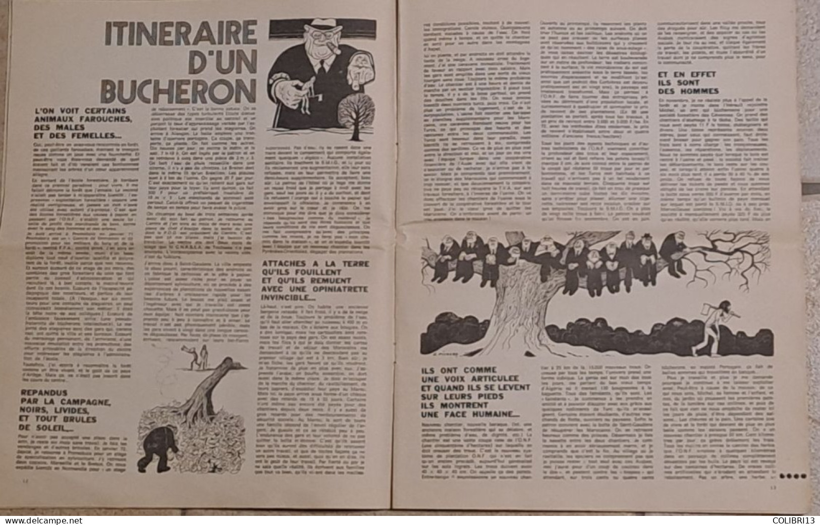 LA GUEULE OUVERTE Mensuel N°17 1974  HUGOT REISER PICHARD WOLINSKI WILLEM AZAM ANDREVON...Début D'une écologie De Combat - Humour